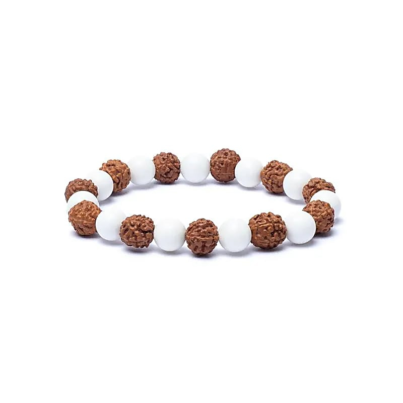 Bracelet - Rudraksha and Shell Powder, Elastic