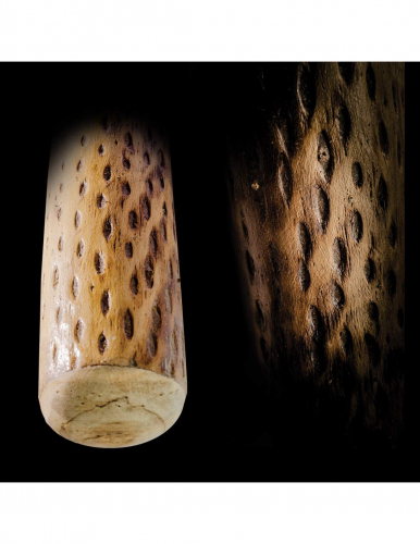 Cactus rainmaker, length 100 cm, diameter 6-8 cm