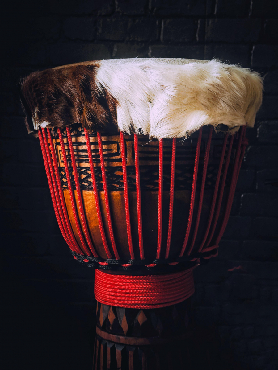 Djembe Mahogany Professional XL - Petrovich Drums