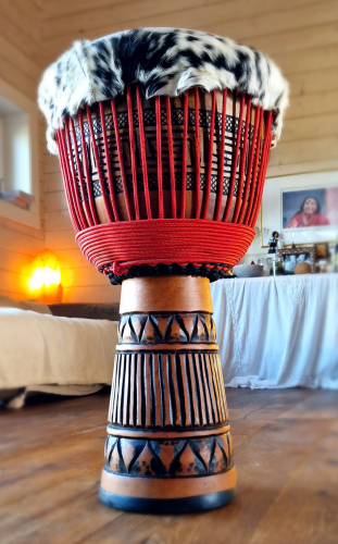 Djembe Mahogany Professional XXL - Petrovich Drums