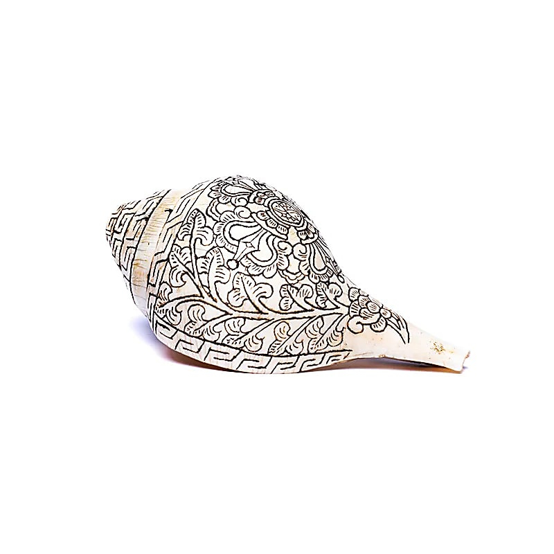 Ritual Conch Shell with Double Dorje Decoration - Shell for Ceremony and Puja