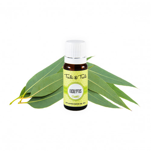 Eucalyptus Essential Oil