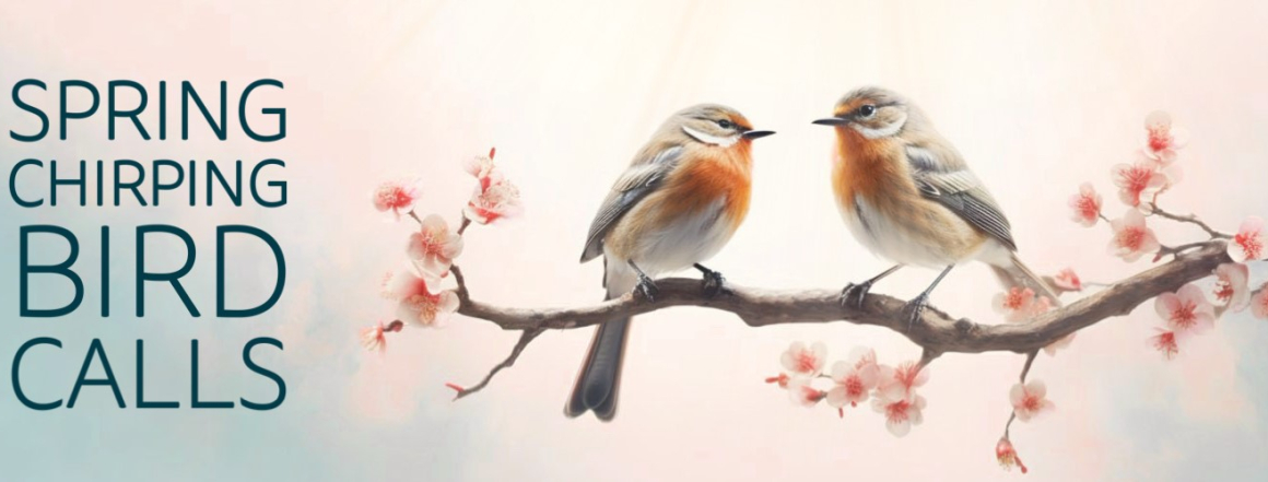 Animal and Nature Sounds - Lures
